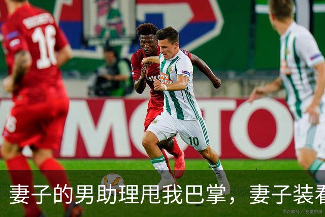 妻子的男助理甩我巴掌，妻子装看不见。5分钟后她公司破产了